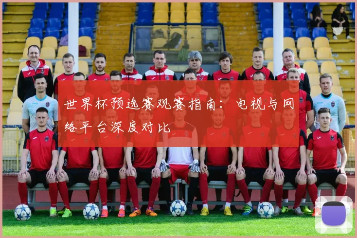 世界杯预选赛观赛指南:电视与网络平台深度对比