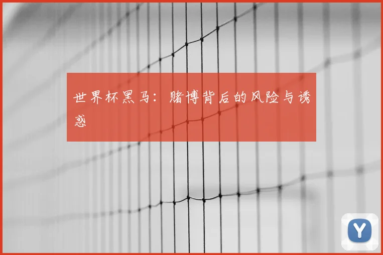 世界杯黑马：赌博背后的风险与诱惑