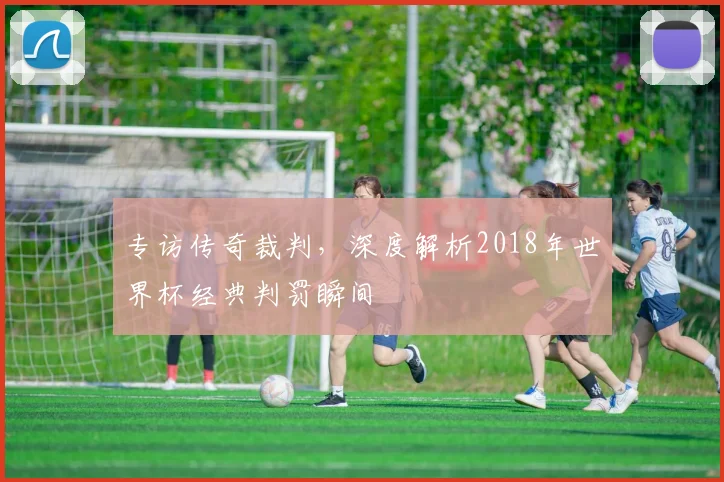 专访传奇裁判,深度解析2018年世界杯经典判罚瞬间