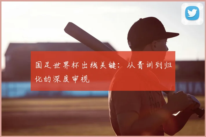 国足世界杯出线关键：从青训到归化的深度审视